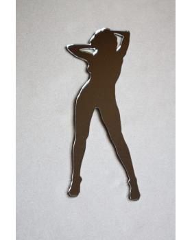 Наклейка Табличка для грузовика Lady-foto7