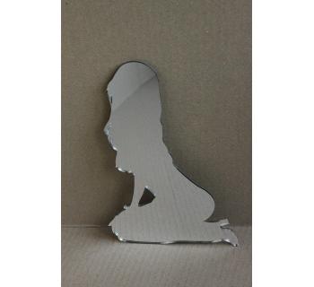 Наклейка Табличка для грузовика Lady-foto2