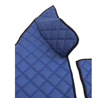 Коврик DONGFENG Синий вышивка (ручник на полу)-foto2