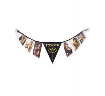 Гирлянда двусторонняя TOYOTA с Ledis-foto2
