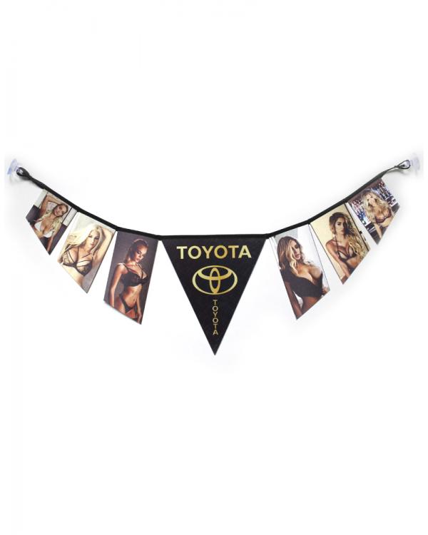 Гирлянда двусторонняя TOYOTA с Ledis