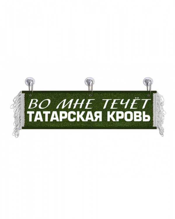 Вымпел "Во мне течет Татарская кровь" Зеленый (50 см)